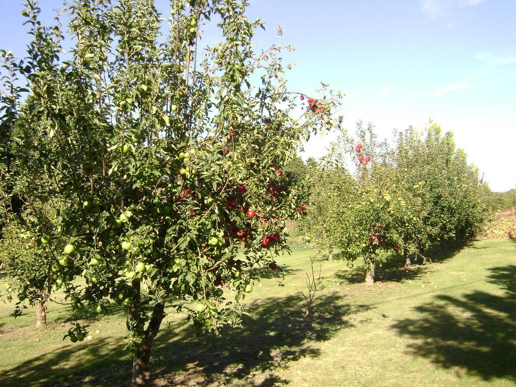 Gite La Gourmandine Saint-Andiol Εξωτερικό φωτογραφία